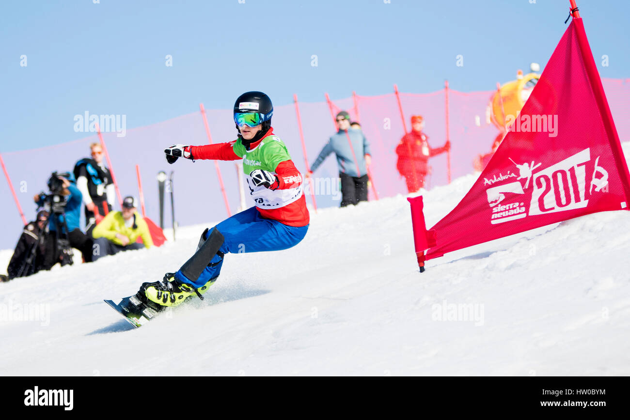Sierra Nevada, Spain. 14th Mar, 2017. Daniela Ulbing (Austria) during ...