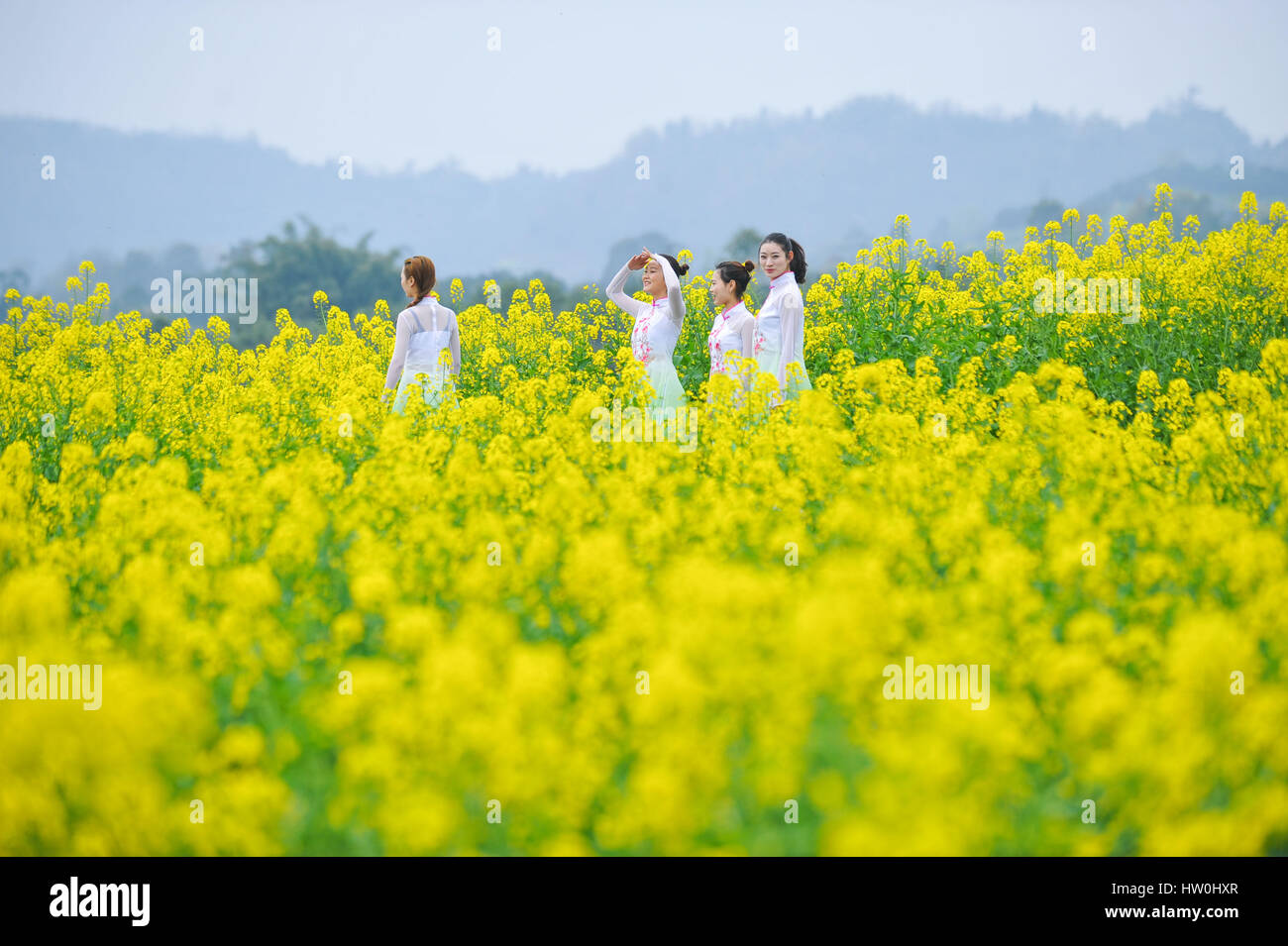 Linfeng hires stock photography and images