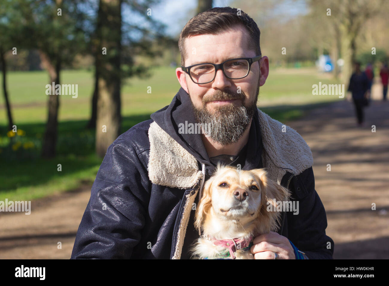 Dogs playing in Bute park, Cardiff with their owners. Stock Photo