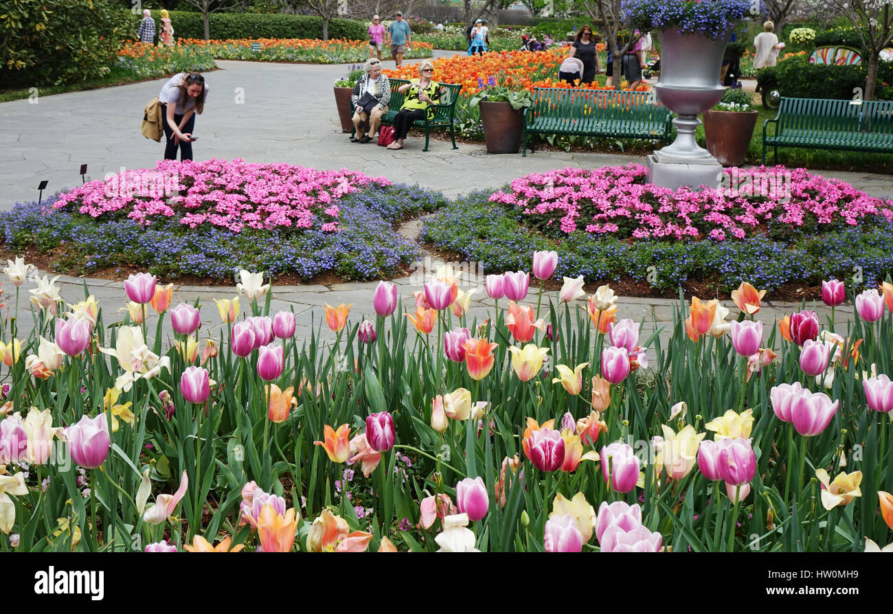 Dallas, USA. 22nd Mar, 2017. People visit the flower show "Dallas