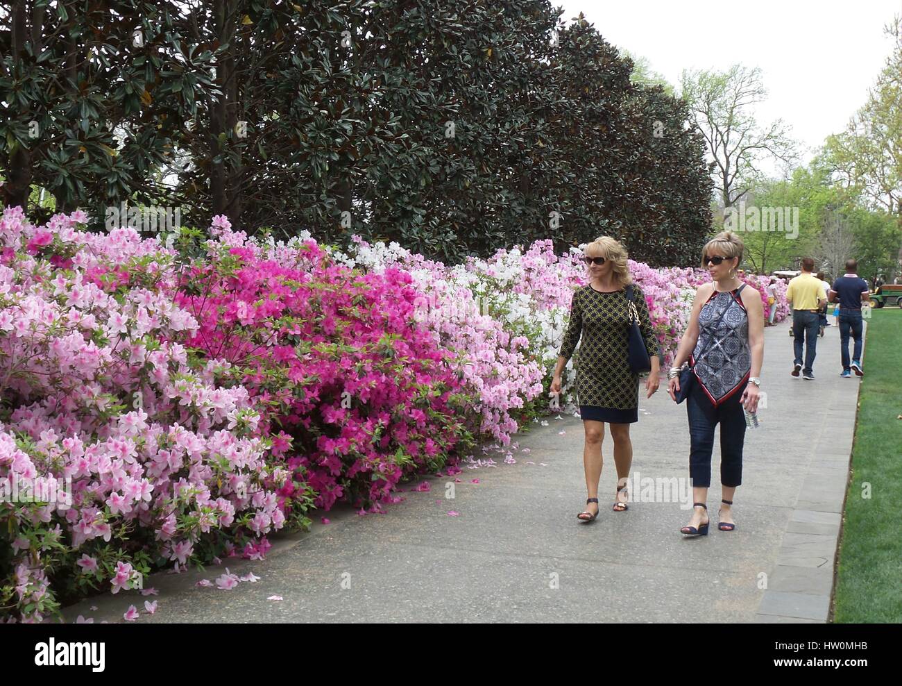 Dallas, USA. 22nd Mar, 2017. People visit the flower show "Dallas