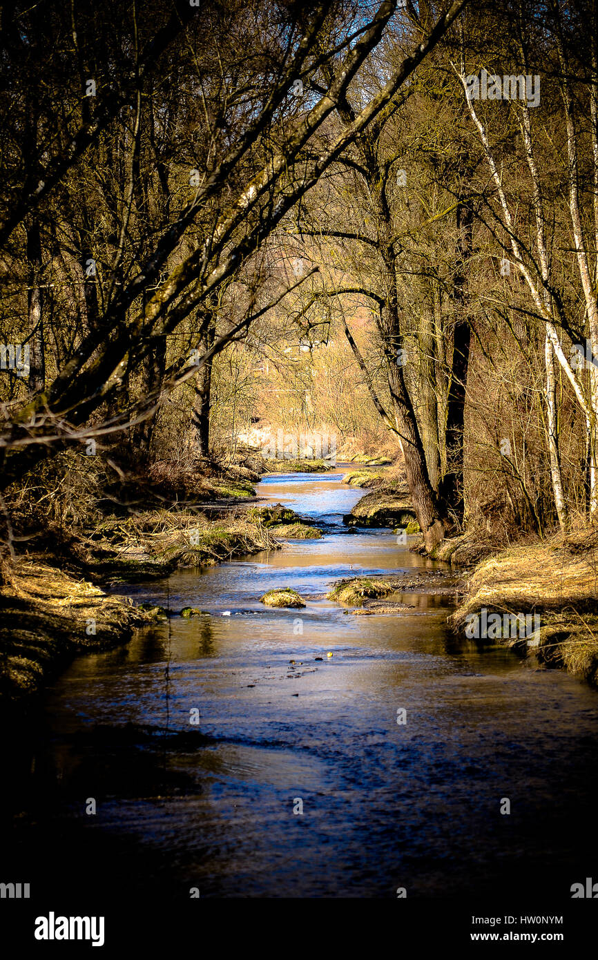 Stream crosses through the forest in springtime Stock Photo - Alamy