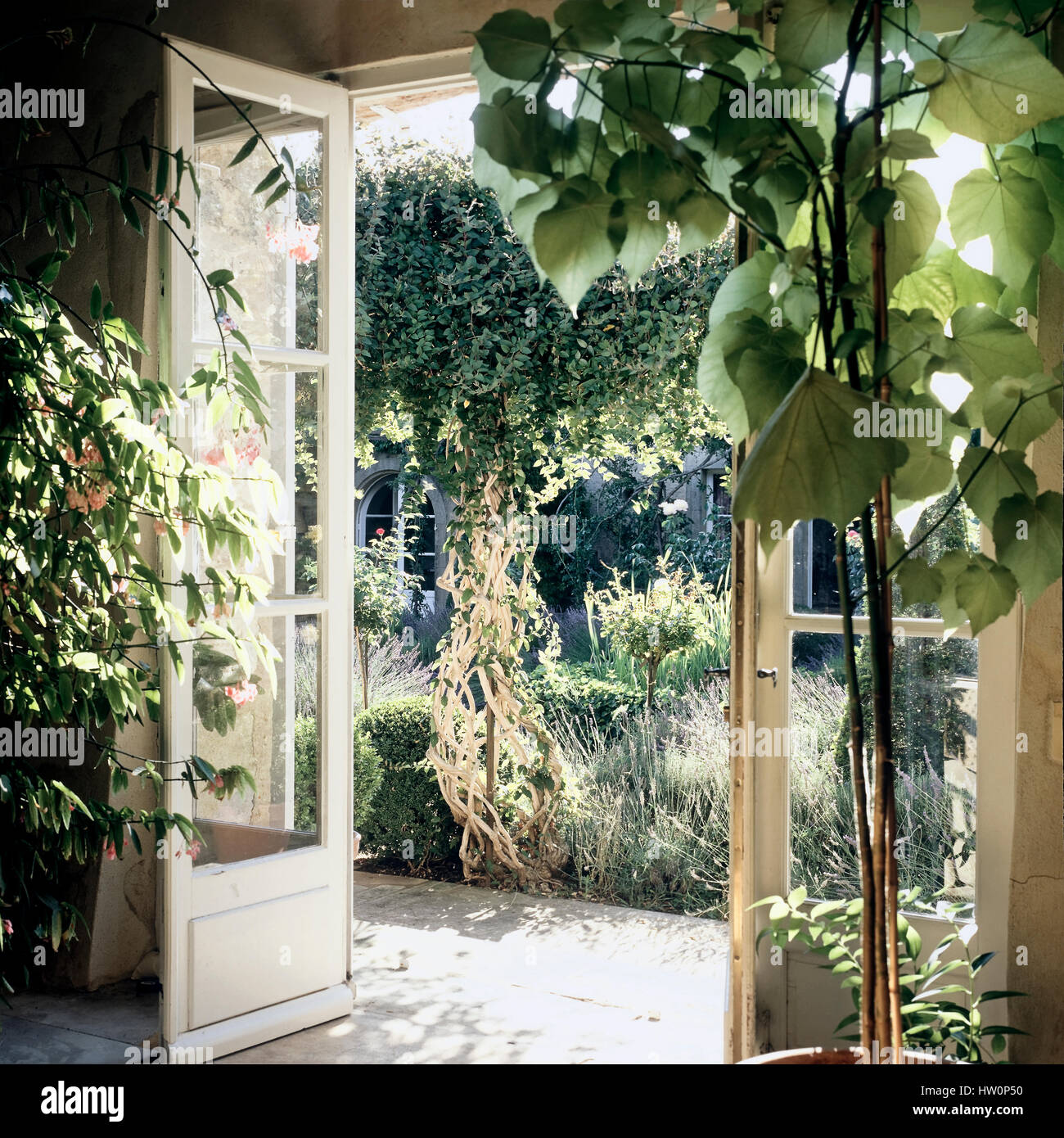 French doors leading to a garden. Stock Photo