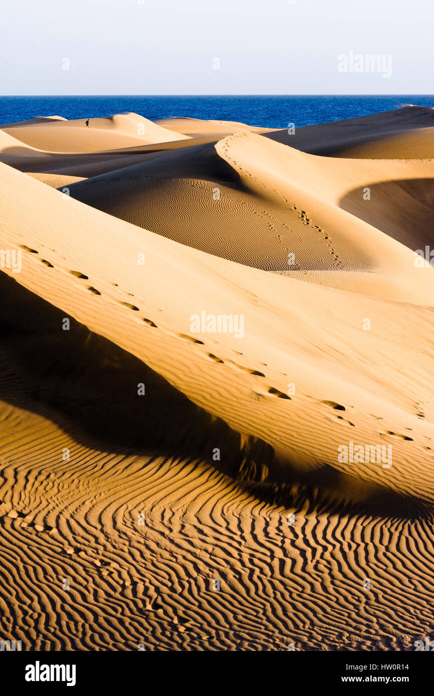 Maspalomas Sand Dunes, Gran Canaria, Canary Islands, Spain Stock Photo