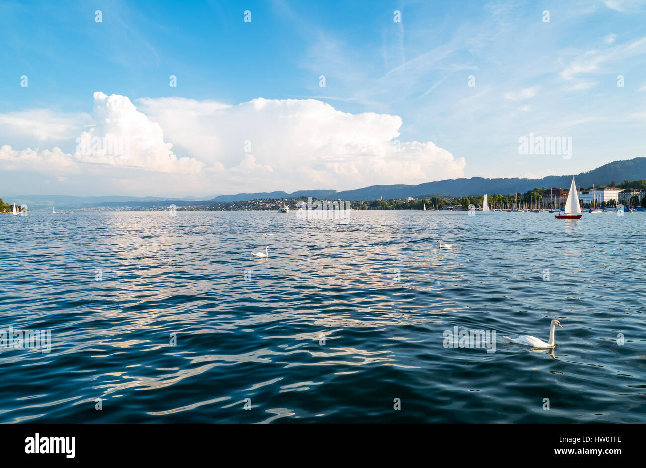 Zurich, Switzerland, panoramic view of the Zurich lake Stock Photo - Alamy