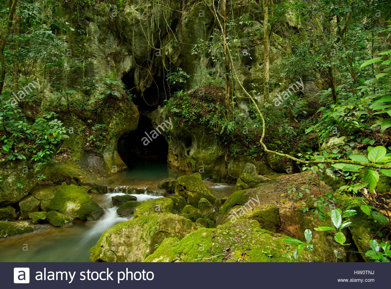 Brian Dill At The Entrance To Actun Tunichil Muknal A Mayan Stock