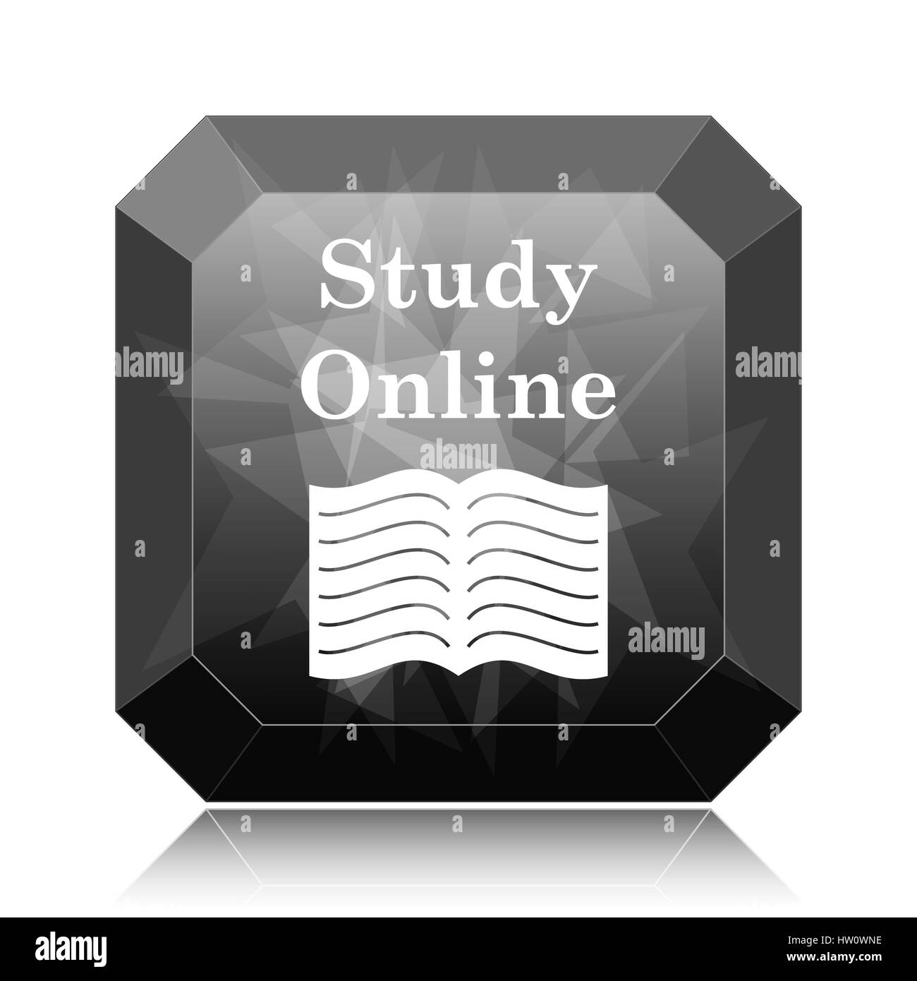 Study online icon, black website button on white background Stock Photo ...