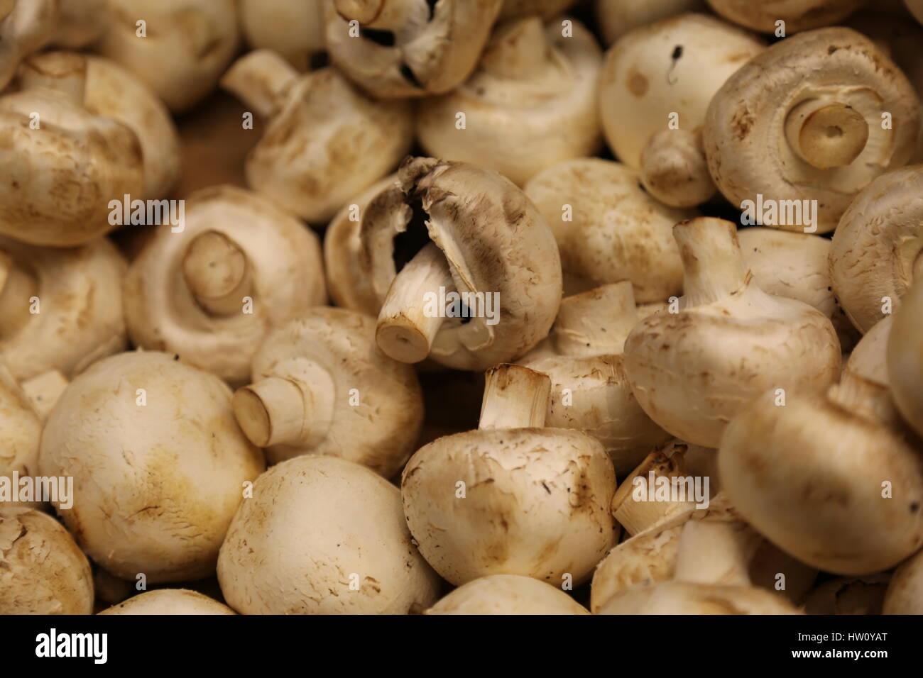 Champignons texture closeup healthy nutrition Stock Photo - Alamy