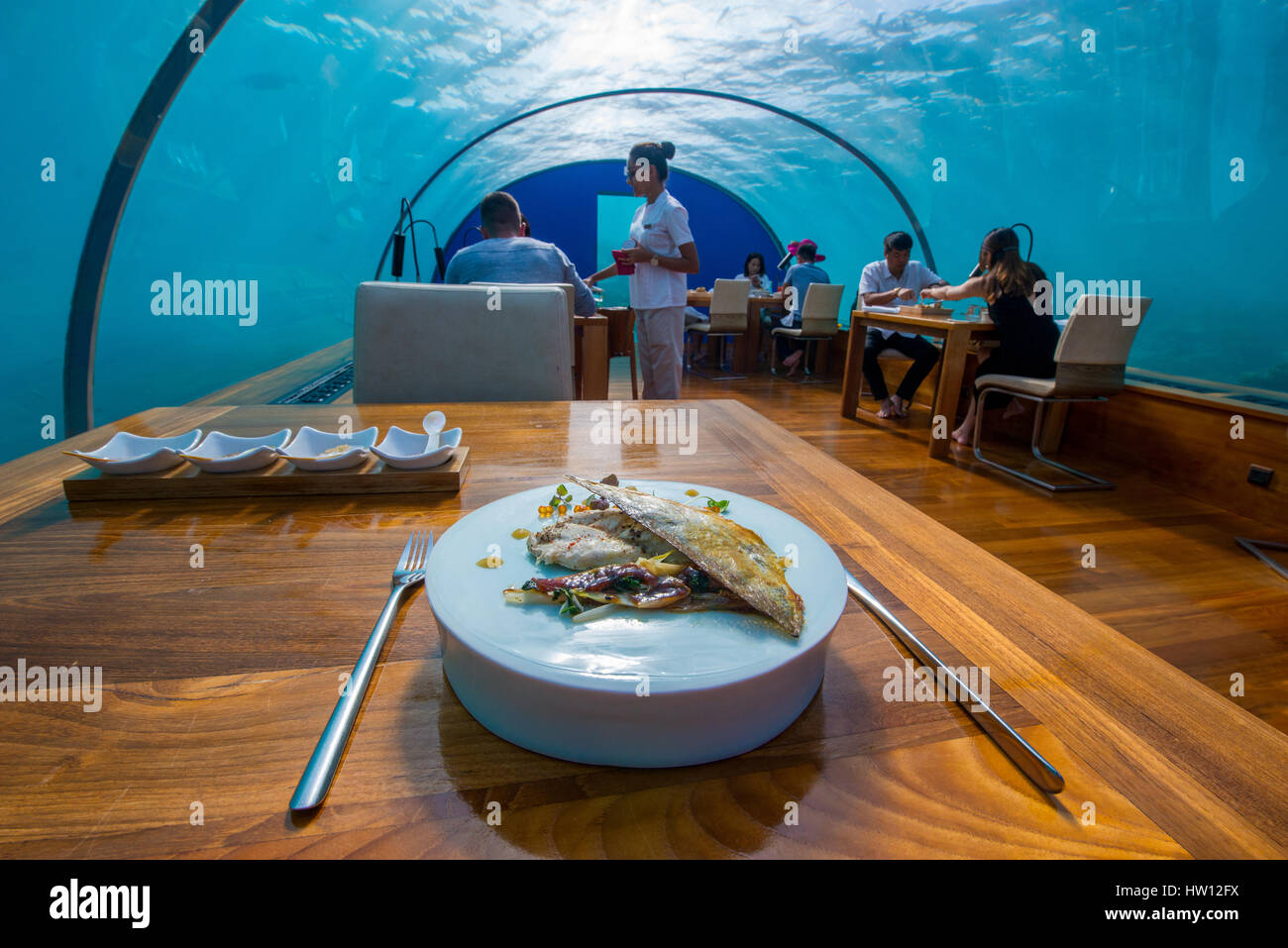 Maldives, Rangali Island. Conrad Hilton Resort. Ithaa underwater restaurant. Jack fish lunch. (MR) Stock Photo