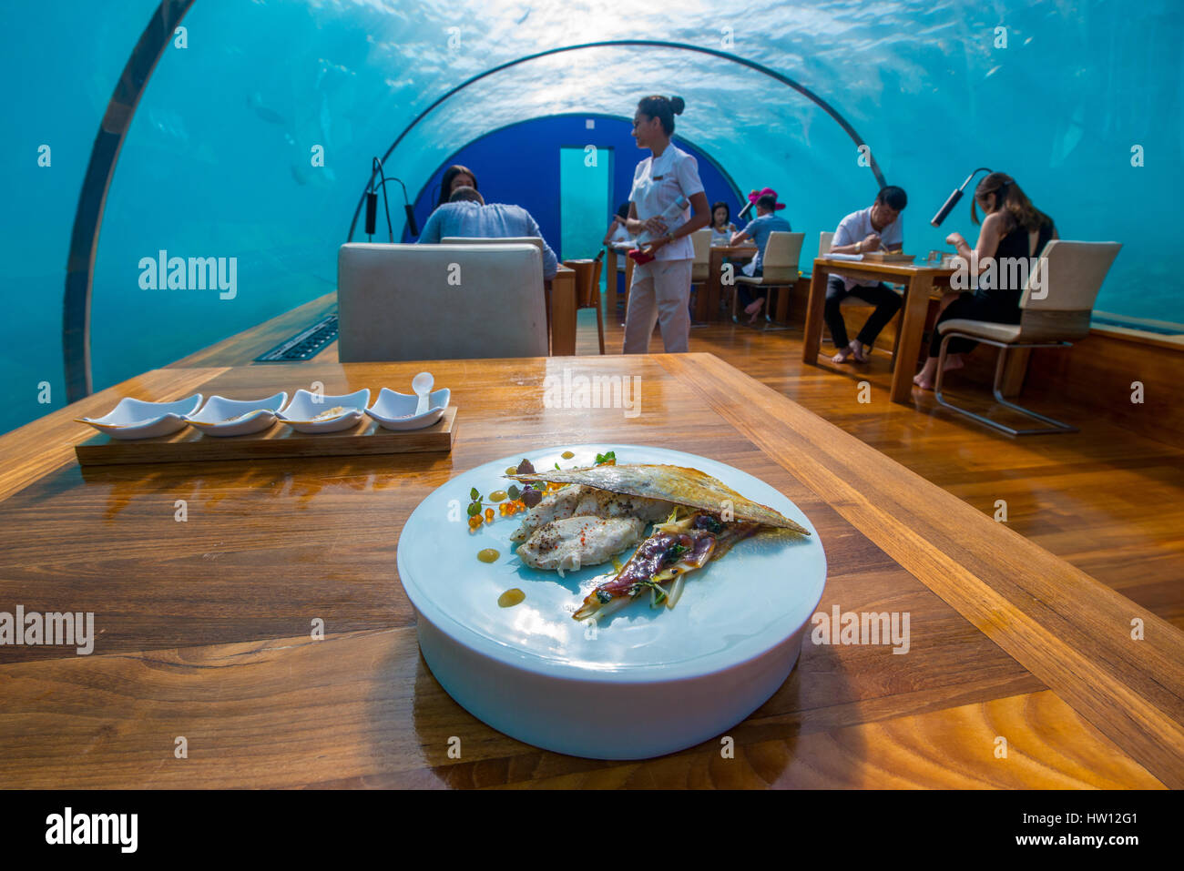 Maldives, Rangali Island. Conrad Hilton Resort. Ithaa underwater restaurant. Jack fish lunch. (MR) Stock Photo