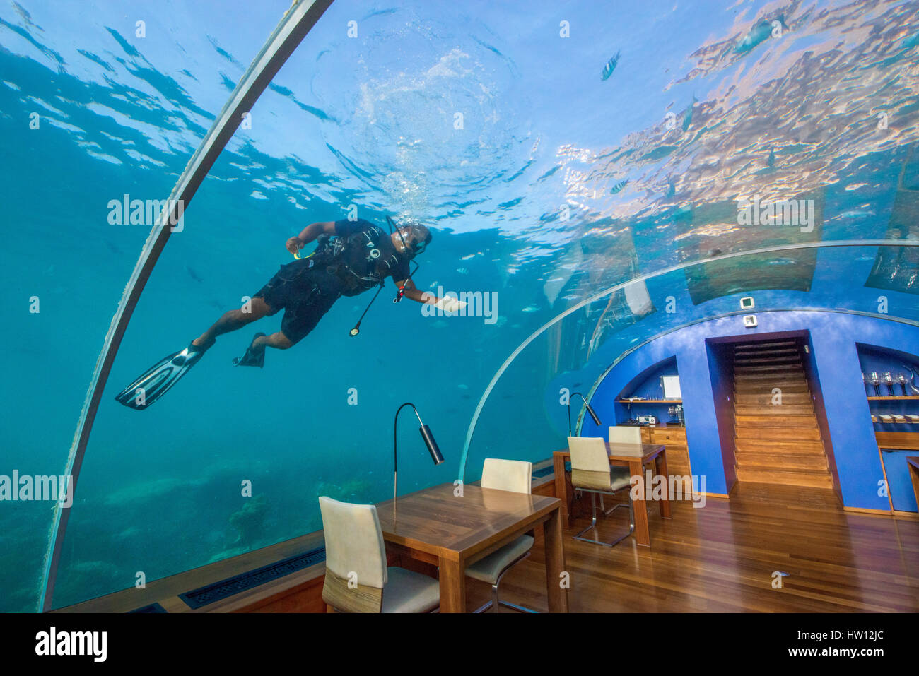 Maldives, Rangali Island. Conrad Hilton Resort. Ithaa underwater restaurant. Scuba diver cleaning restaurant windows. (MR) Stock Photo