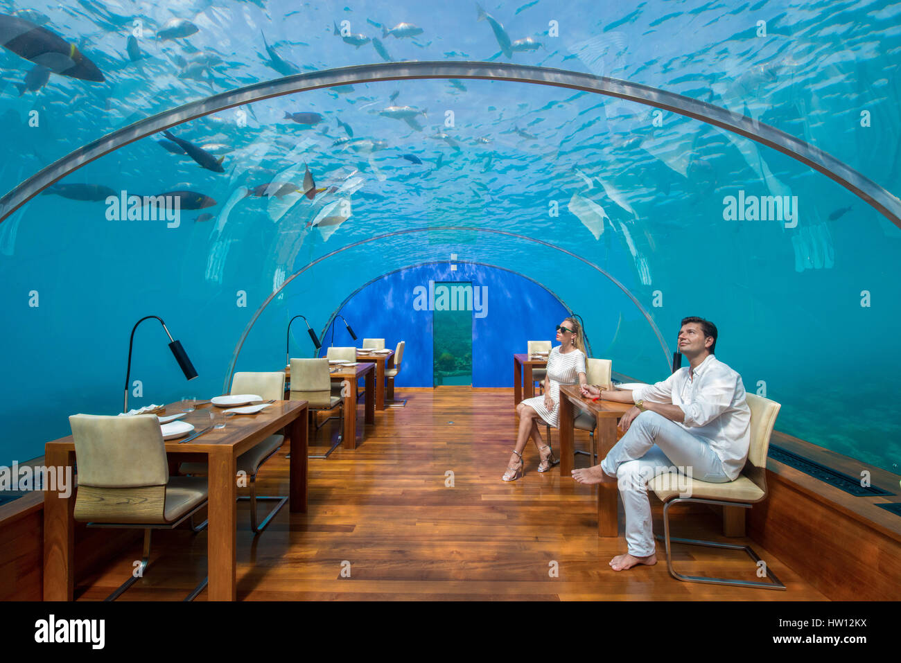 Maldives, Rangali Island. Conrad Hilton Resort. Couple in Ithaa underwater  restaurant (MR Stock Photo - Alamy