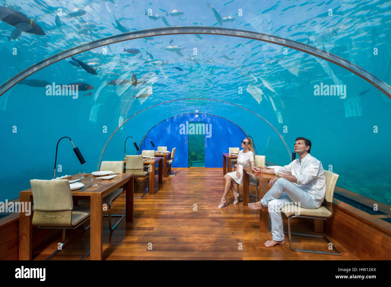 Maldives, Rangali Island. Conrad Hilton Resort. Couple in Ithaa underwater restaurant (MR). Stock Photo