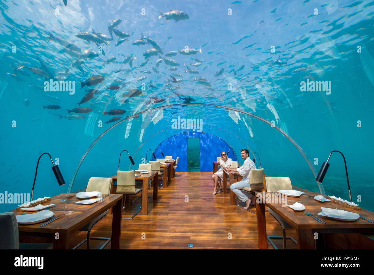 Maldives, Rangali Island. Conrad Hilton Resort. Couple in Ithaa underwater restaurant (MR). Stock Photo