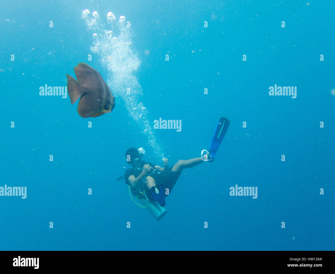 Maldives, Rangali Island. Conrad Hilton Resort. Scuba diving Stock