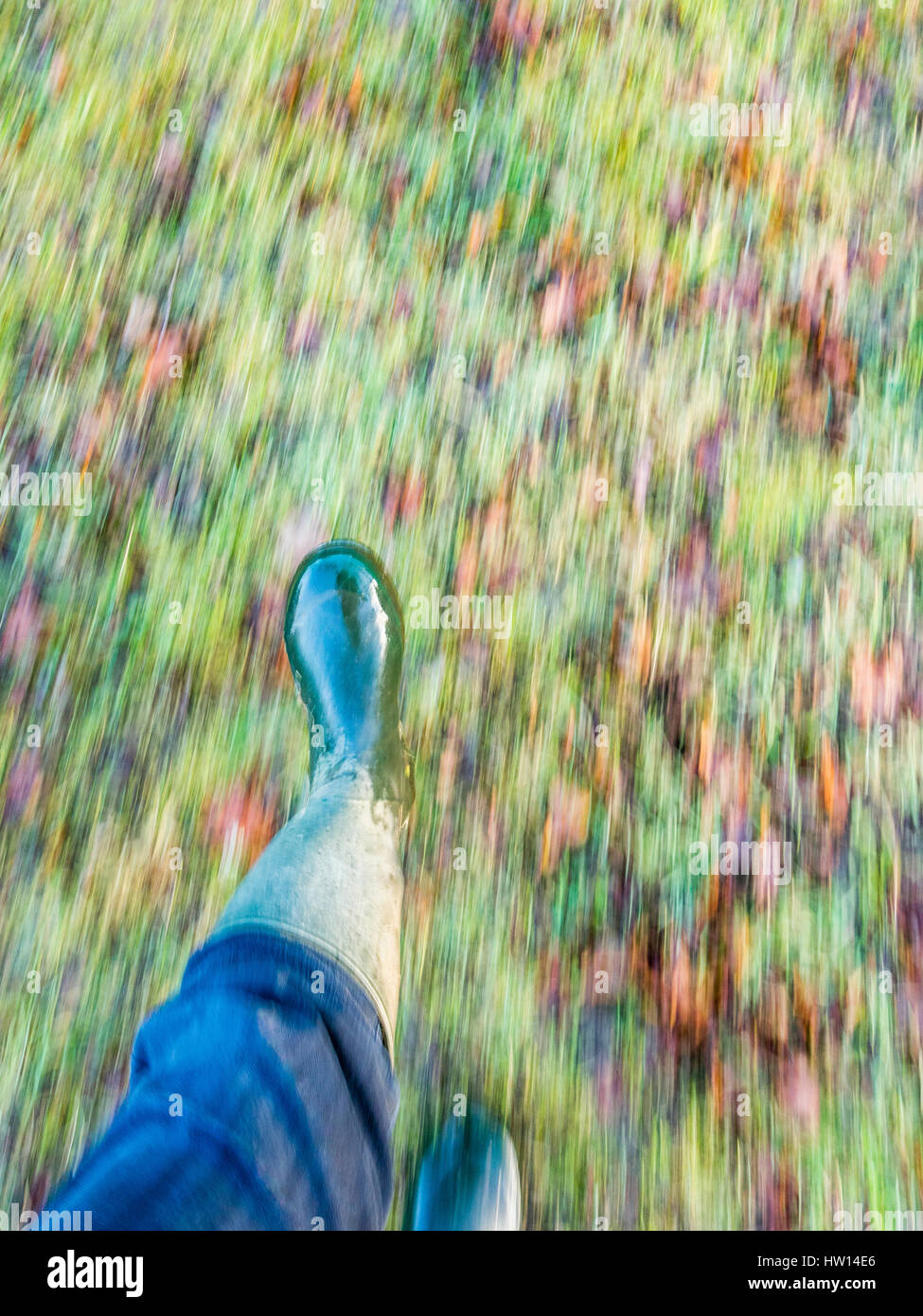 Walking feet in autumn. Feet in wellington boots on a background of fallen leaves -fuzziness to move-. France Stock Photo