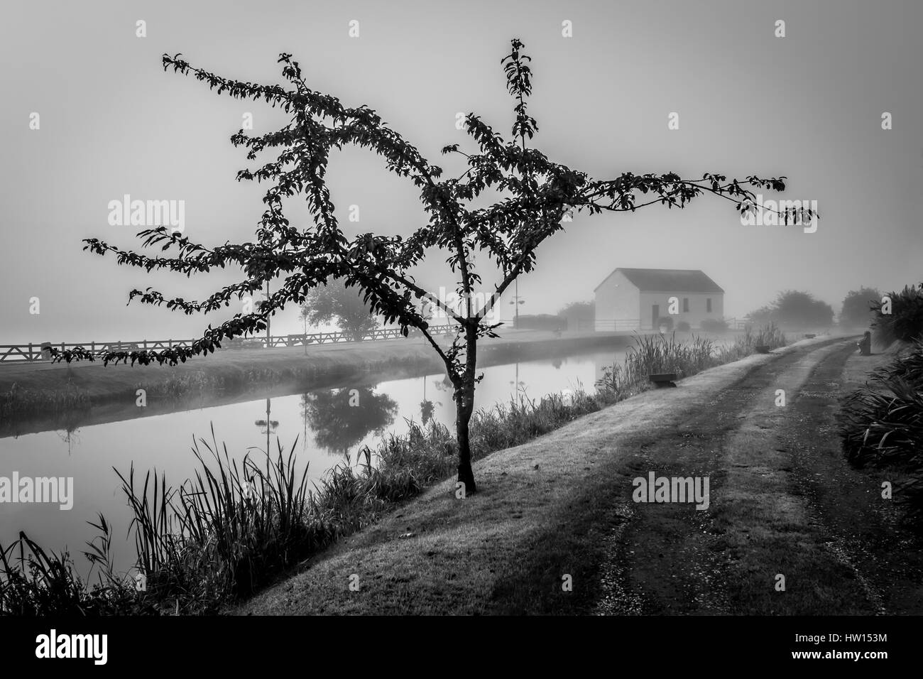Royal Canal Ballymahon Ireland Stock Photo Alamy