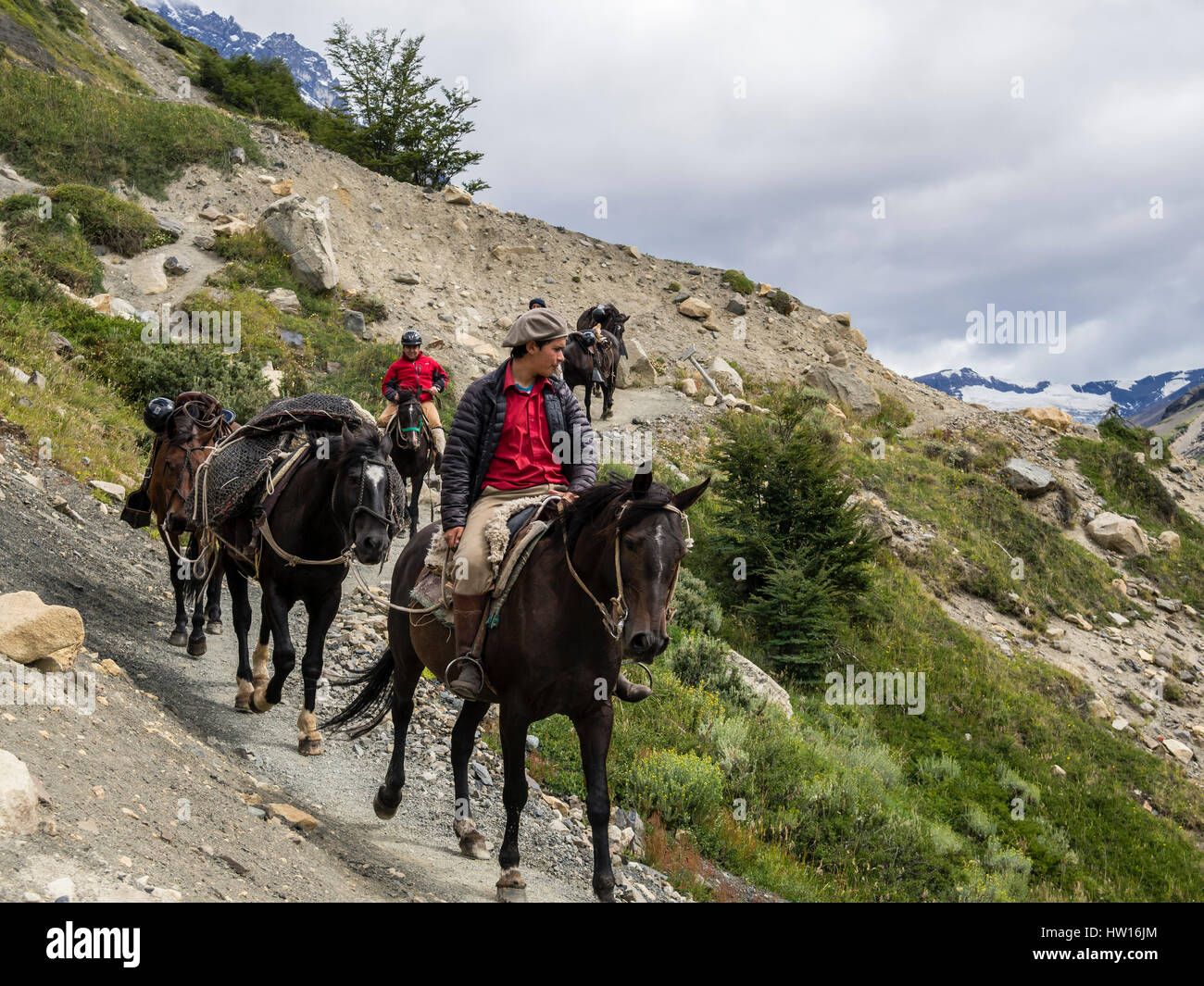 Trail to the Mirador Las Torres, horses transport goods, Torres del Paine National Park, Patagonia, Chile Stock Photo