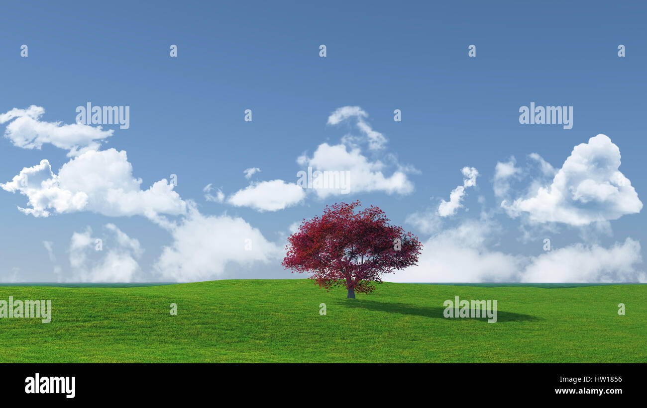Maple Tree Aerial Rendering Vector 3D render of a maple tree landscape Stock Photo - Alamy