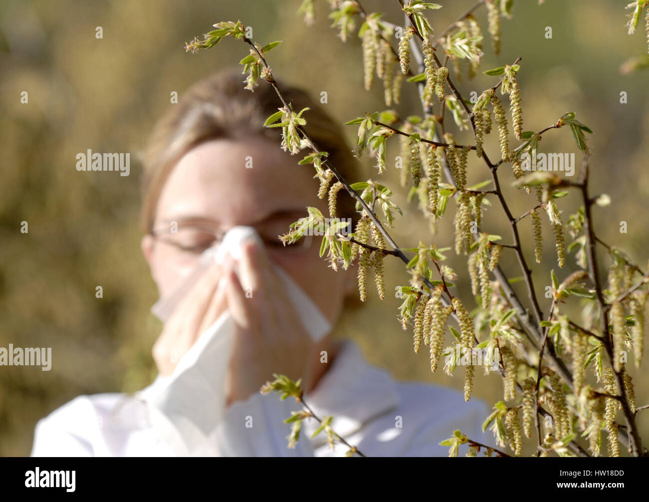 Hay fever, Heuschnupfen Stock Photo
