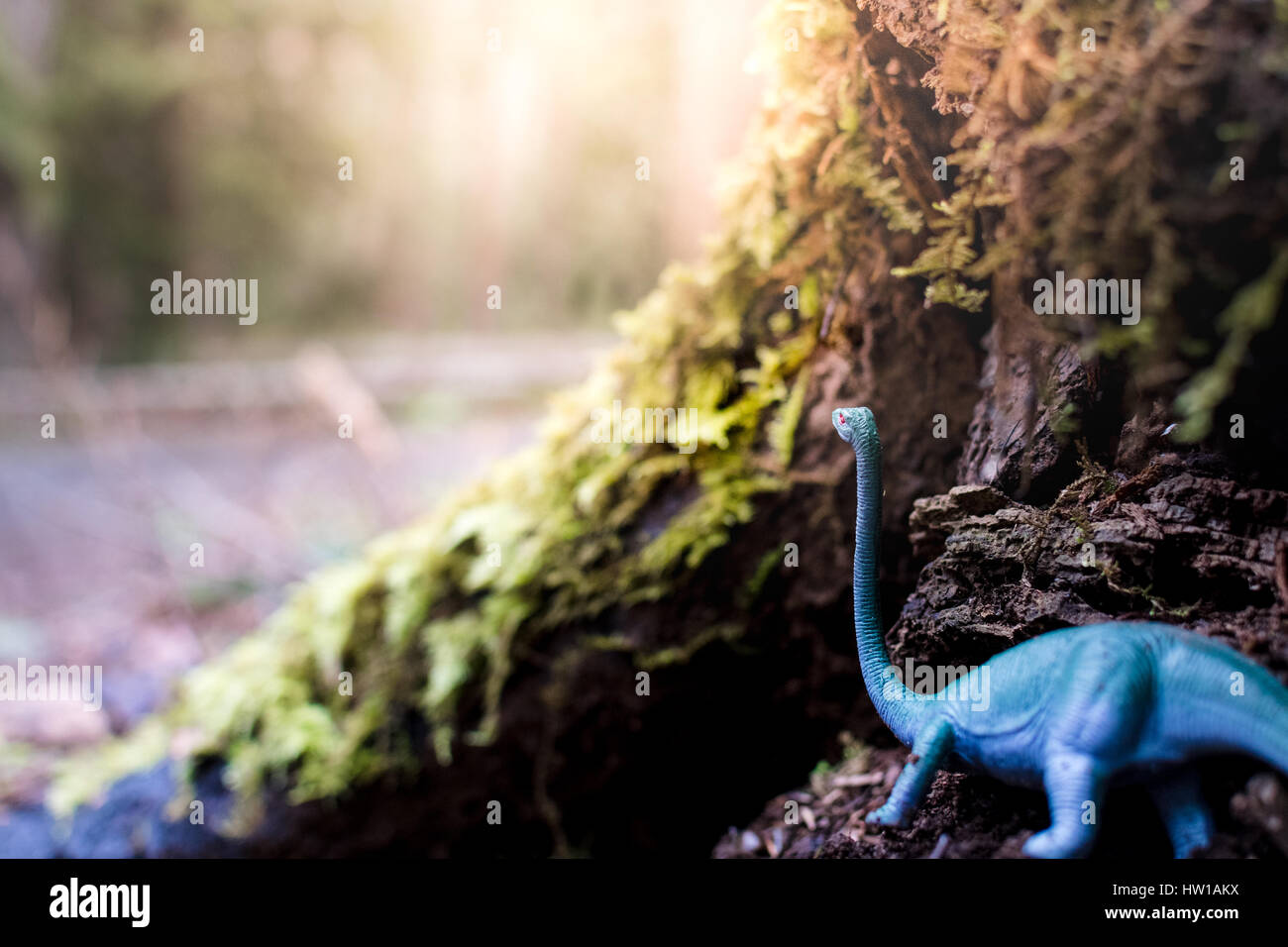 Small plastic dinosaur in huge lush vista Stock Photo