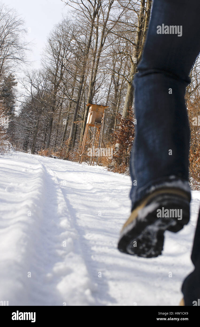 Wald weg spaziergang hi-res stock photography and images - Alamy