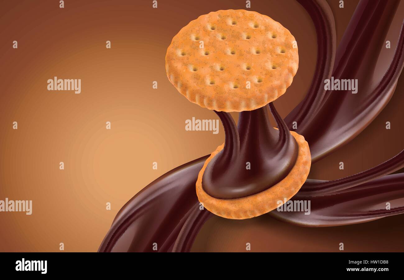 chocolate flow and cookie element, brown background, 3d illustration Stock Vector