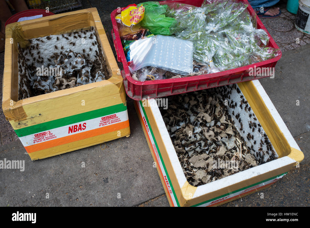 Insects for sale, Saigon Stock Photo - Alamy