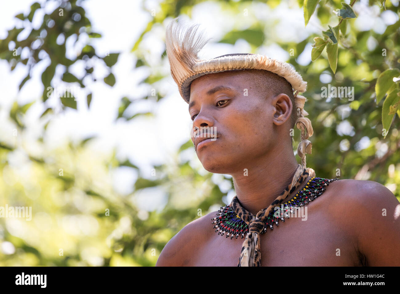 Lesedi Cultural Village, SOUTH AFRICA - 4 November 2016: Portrait of a Zulu Warrior wearing impala skin headdress. Zulu is one of the five main tribes Stock Photo