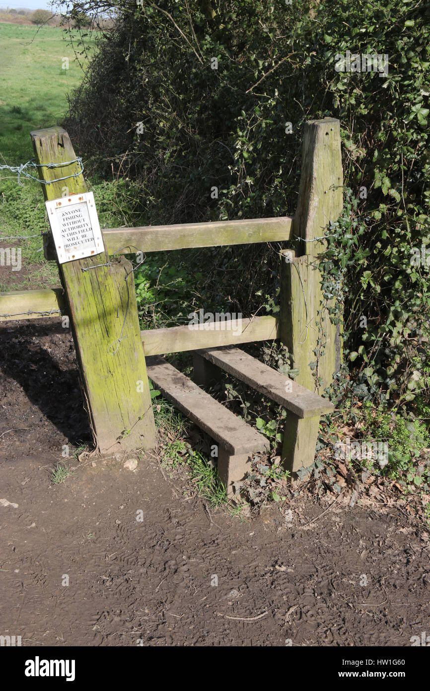 An English stile in the countryside which are steps or rungs by which a person may pass over a fence that remains a barrier to sheep or cattle Stock Photo