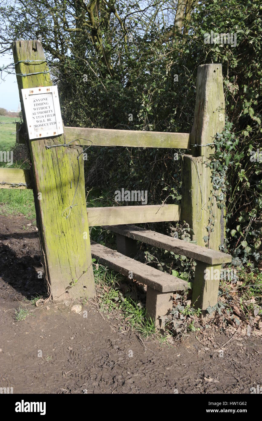 An English stile in the countryside which are steps or rungs by which a person may pass over a fence that remains a barrier to sheep or cattle Stock Photo