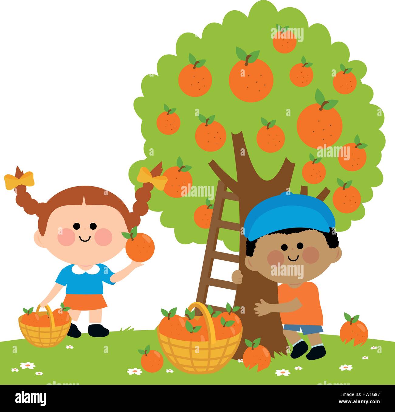 Children picking oranges Stock Vector Image & Art Alamy
