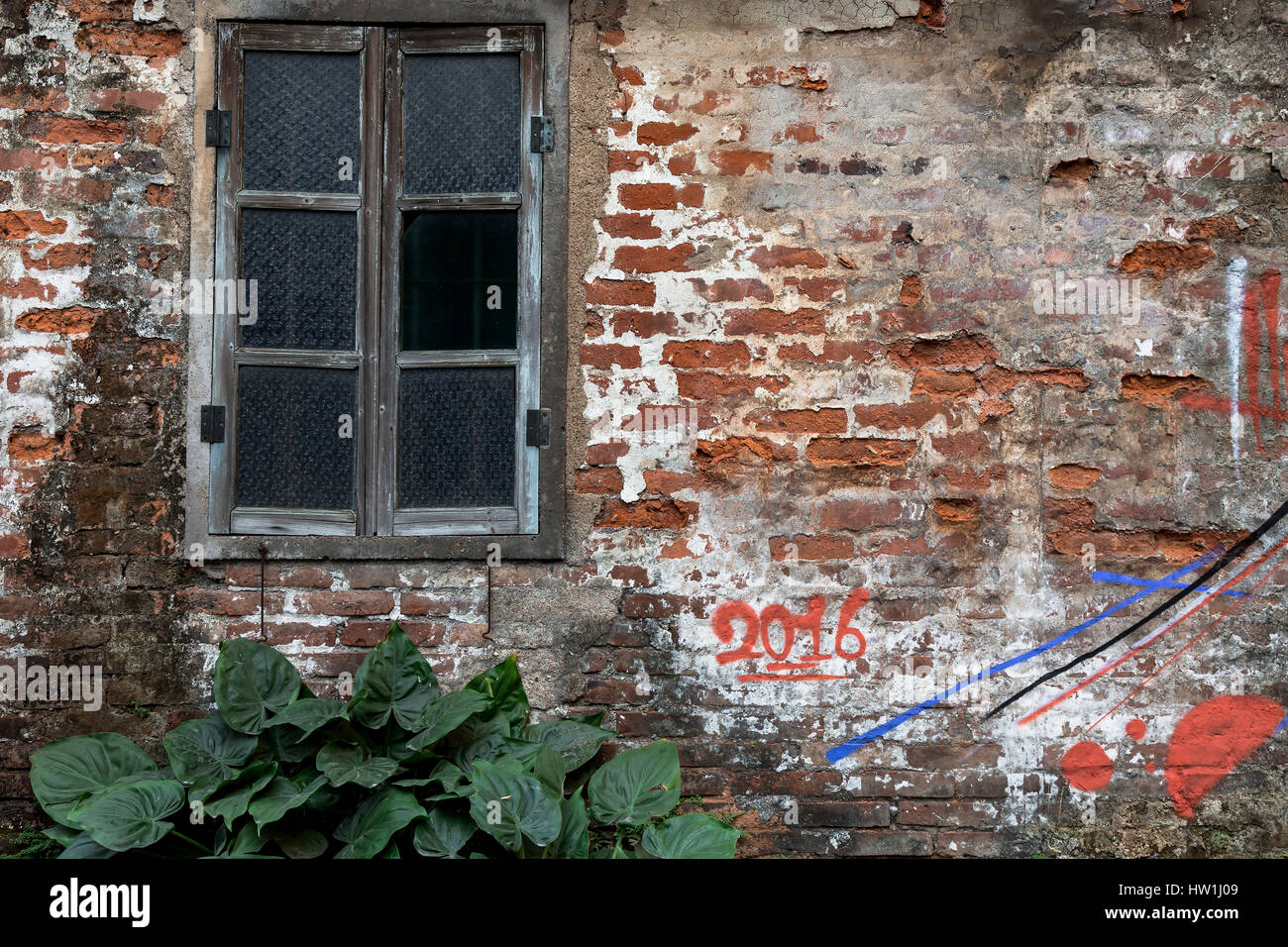 Old brick wall and window with green plants Stock Photo - Alamy