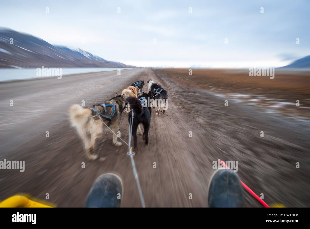 Dog sledding in summer in Svalbard, Arctic, first person perspective