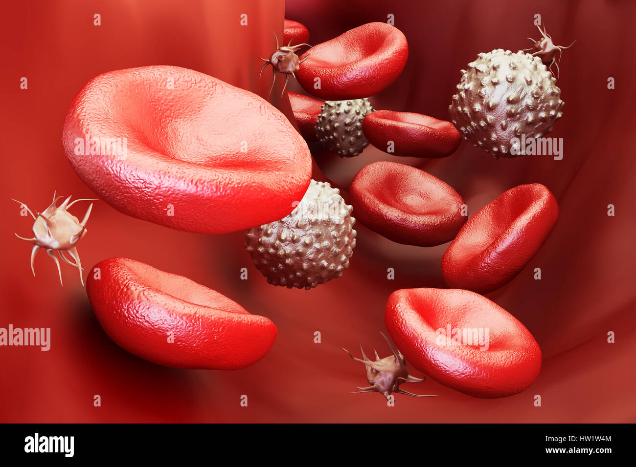 blood cells background, 3D rendering Stock Photo - Alamy
