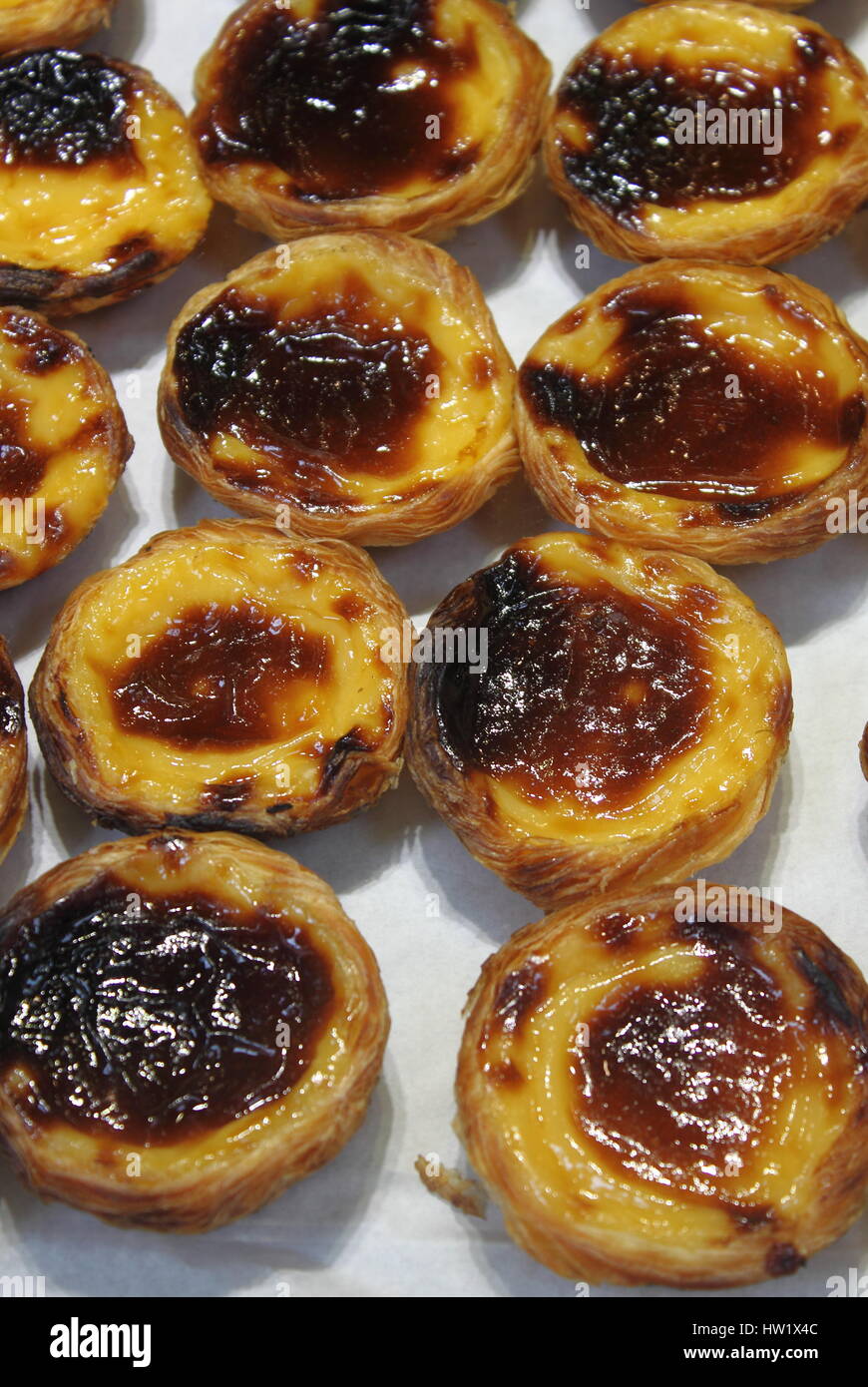 Portuguese Custard Tarts, called "Pastel de Nata or de Belem Stock