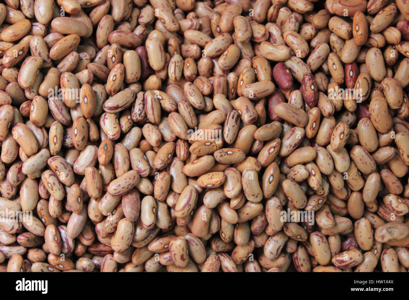 Pinto beans for sale in a grocery store Stock Photo Alamy