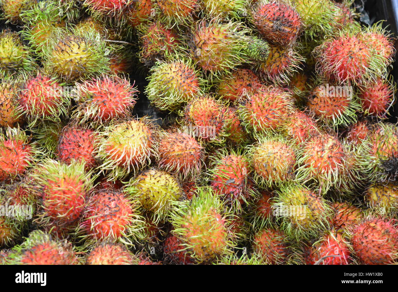 Rambutan fruit hi-res stock photography and images - Alamy