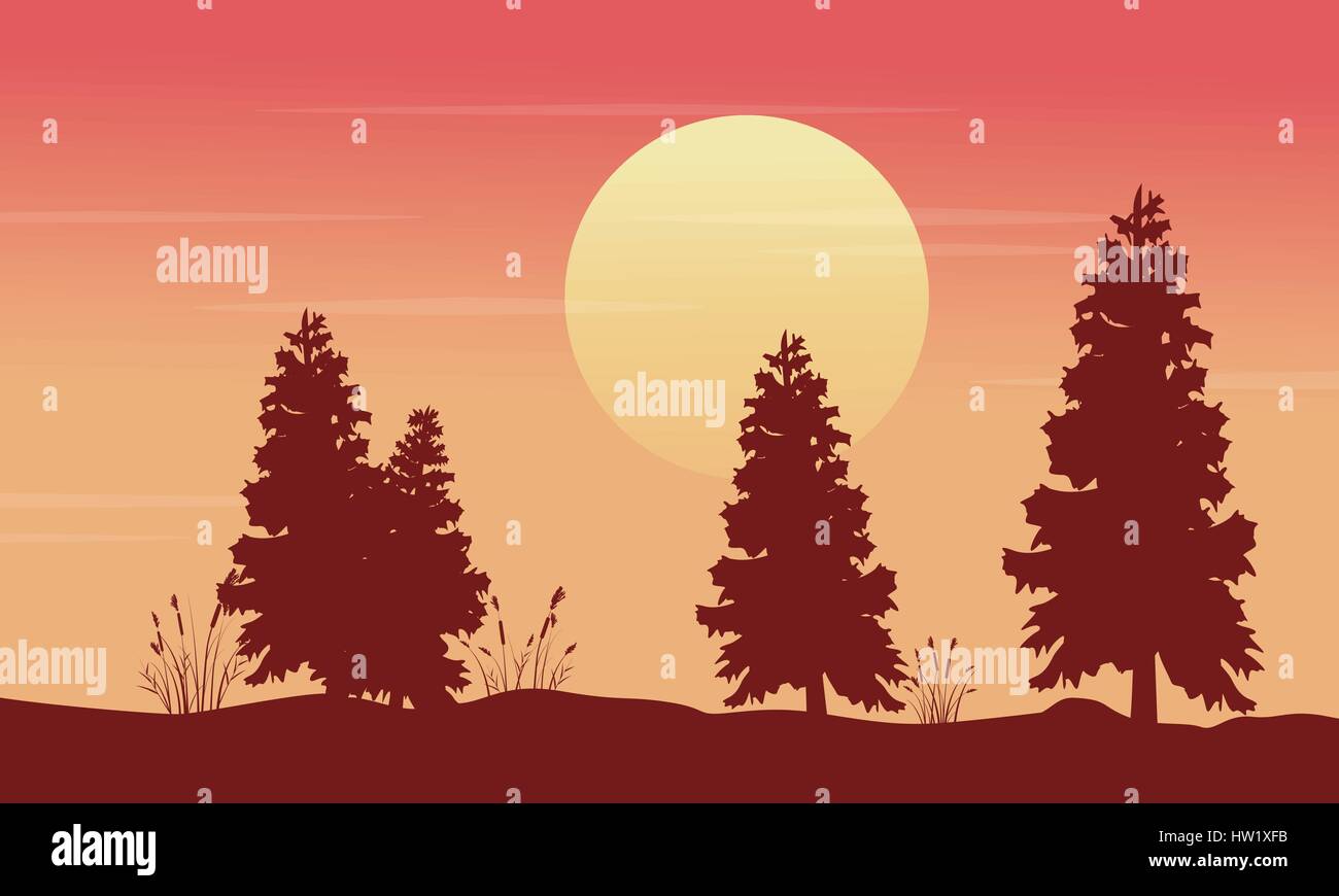 At morning spruce scenery silhouettes Stock Vector Image & Art - Alamy