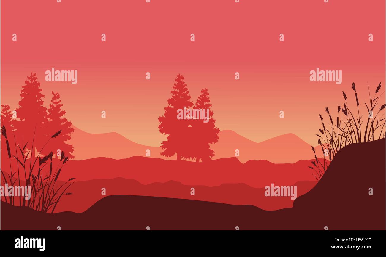 Silhouette of desert with spruce landscape Stock Vector Image & Art - Alamy
