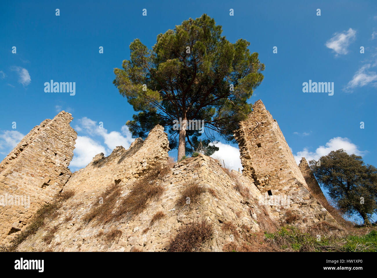 Ruins of Zocco castle, between San Feliciano and Monte del Lago, Magione, Umbria, Italy Stock