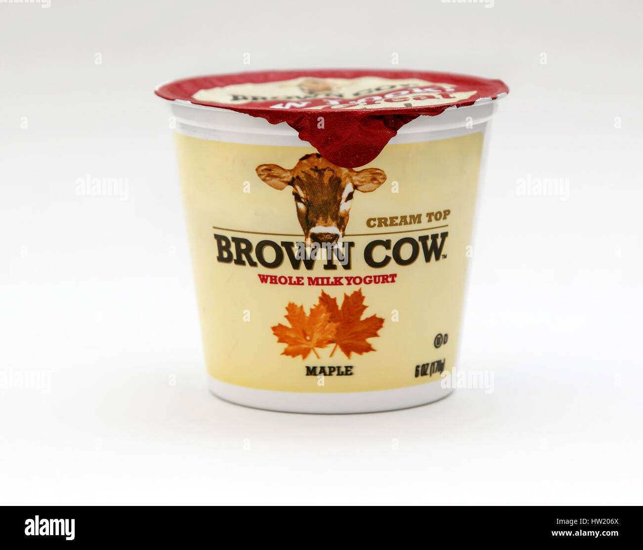 Single container cup of Brown Cow maple flavor yogurt stand against white background. Stock Photo