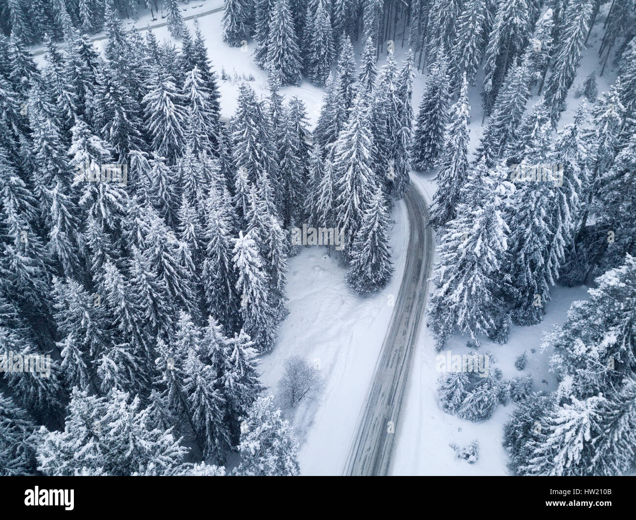 Aerial view forest night hi-res stock photography and images - Alamy