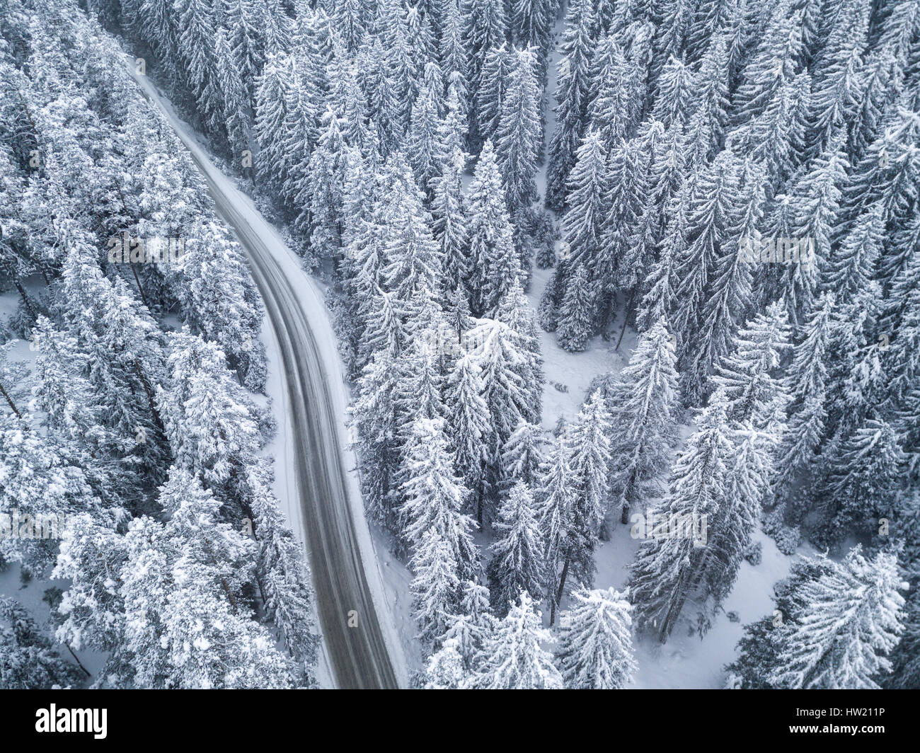 aerial view of snow covered pine forest and road Stock Photo - Alamy