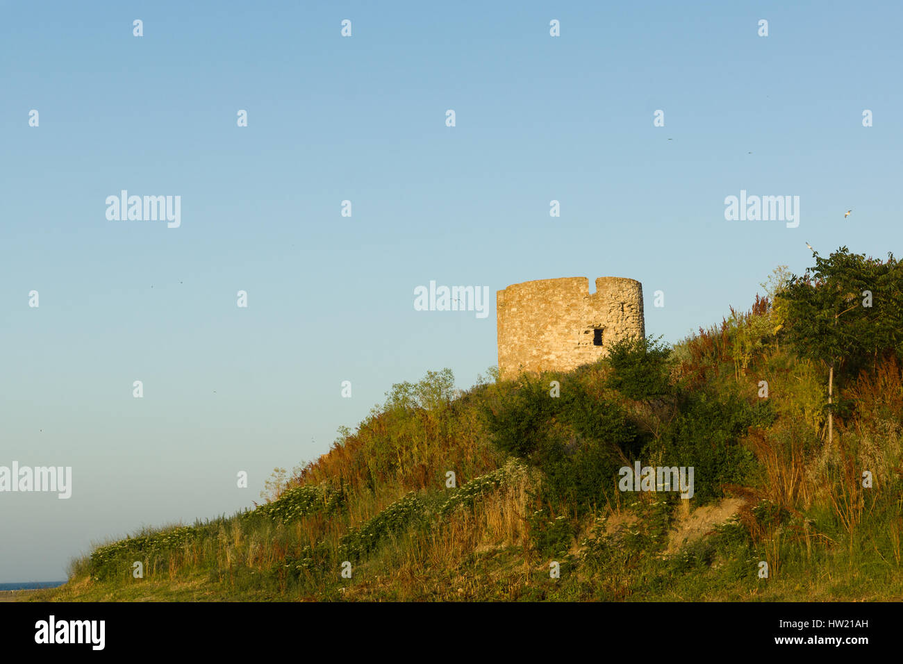 brick watchtower rises above the overgrown hill Stock Photo - Alamy