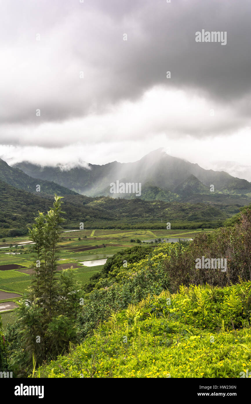 Hanalei Valley Lookout in Kauai, Hawaii Stock Photo Alamy