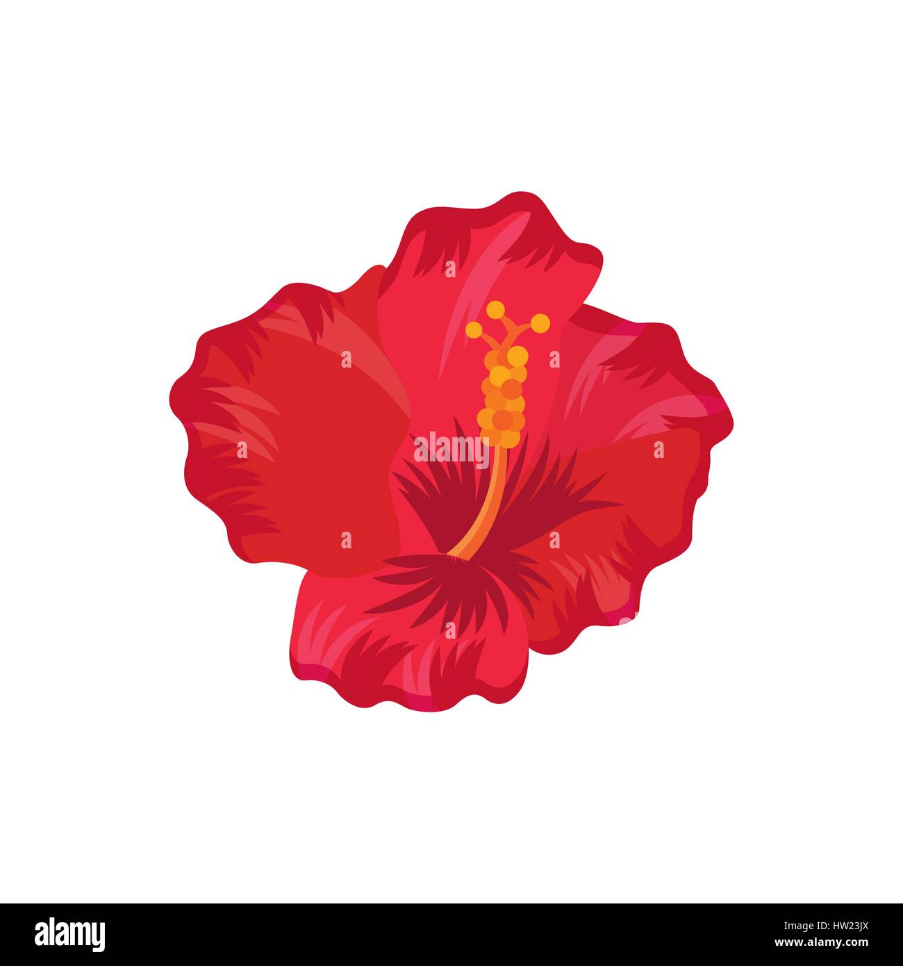 Detail tropical flower Stock Vector Images - Alamy