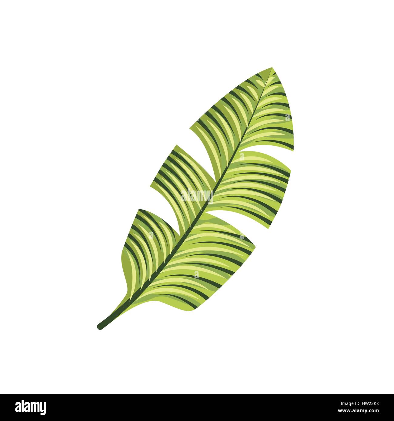 Tropical leaf icon Stock Vector Image & Art - Alamy