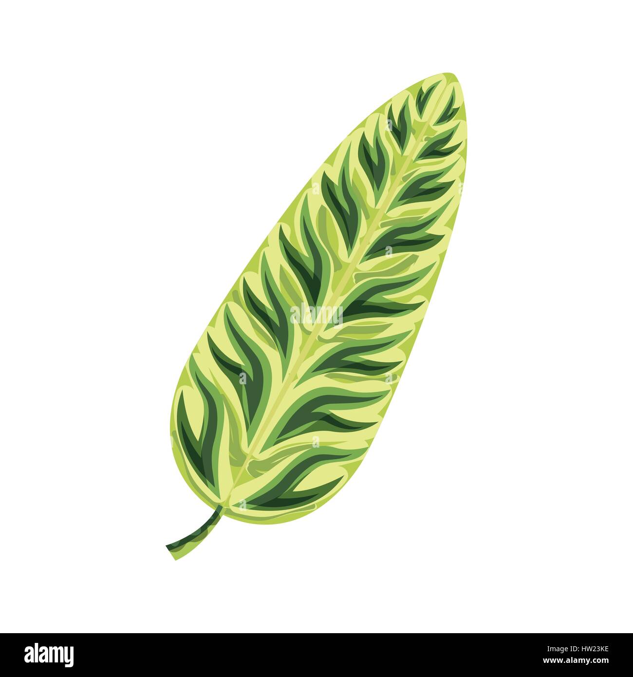 Tropical leaf icon Stock Vector Image & Art - Alamy