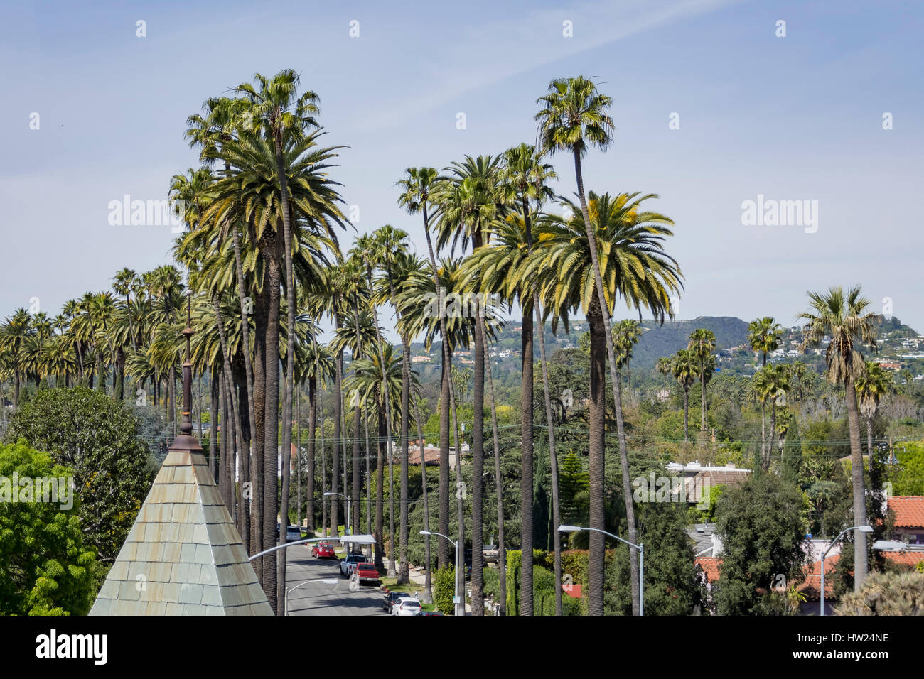 Some palm trees at Beverly Hills, Los Angeles, California Stock Photo